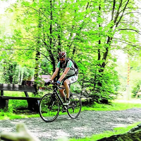 酒店 Parkhotel 巴特哈尔茨堡