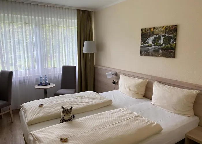 Отель Parkhotel