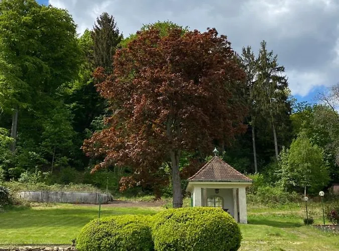 Parkhotel Отель 3*