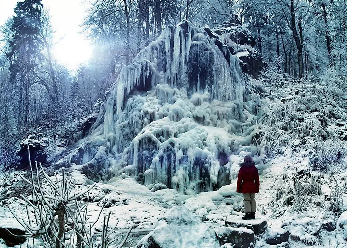 Parkhotel Отель 3*