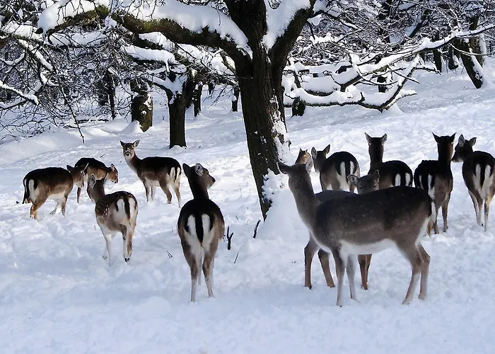 Отель Parkhotel